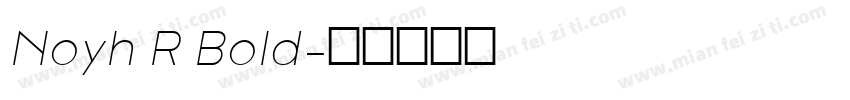 Noyh R Bold字体转换